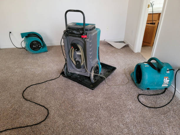 Best Residential water damage restoration  in Marceline, MO