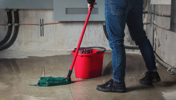 Best Flood restoration services  in Marceline, MO