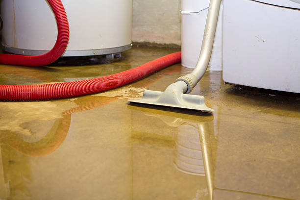 Best Flood damage cleanup  in Marceline, MO