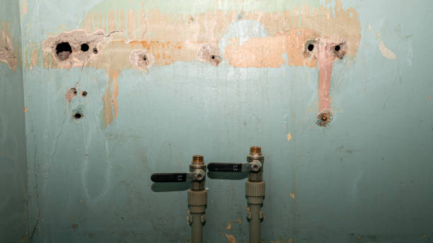 Best Residential water damage restoration  in Marceline, MO