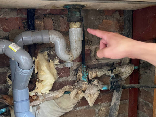 Best 24/7 water damage repair  in Marceline, MO