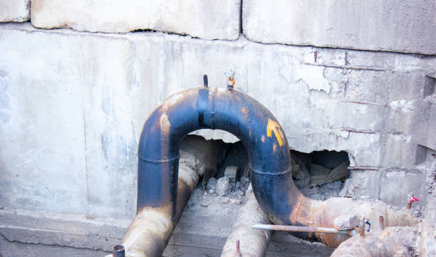 Best Flood damage cleanup  in Marceline, MO